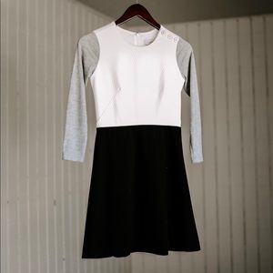 Loft Petite Professional Colorblock Dress
